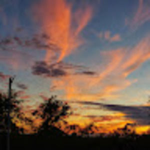 Meet your Posher, Bernadad